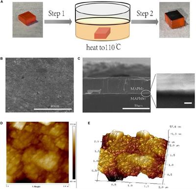 Solution-Processed Epitaxial Growth of MAPbI3 Single-Crystal Films for Highly Stable Photodetectors